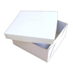 Caja Sand B/M Tapa Sep 44*30*12,5 (x 10 unid)