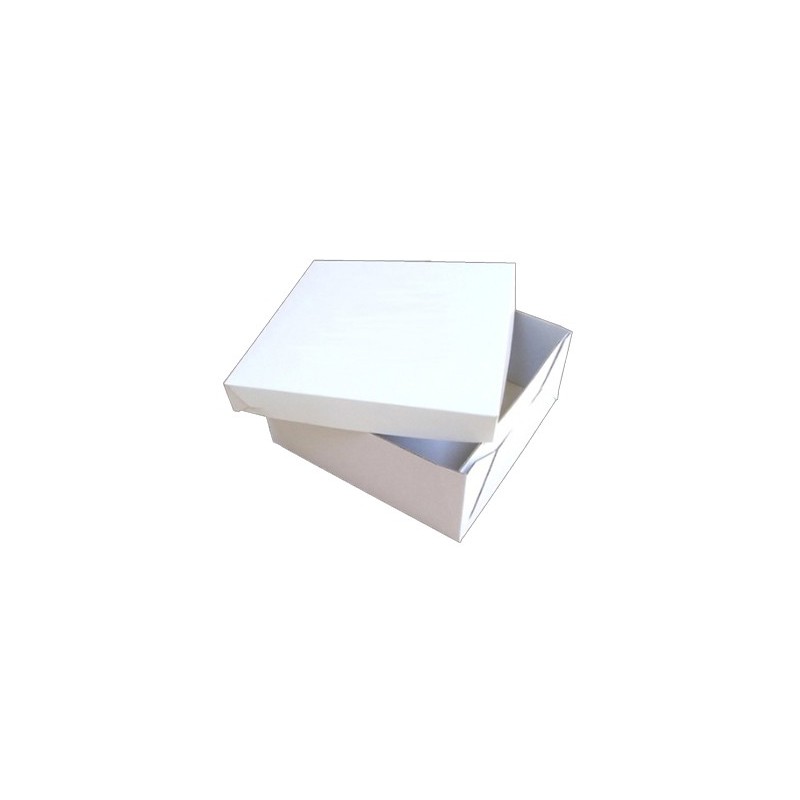 Caja Sand B/M Tapa Sep 44*30*12,5 (x 10 unid)