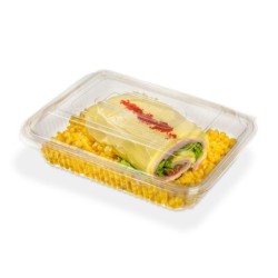 Bandeja 107 PET con tapa bisagra (270x205x75) x 50
