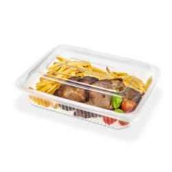 Bandeja 107 Micro con tapa bisagra (270x205x75) x 50 un