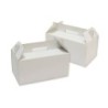 Estuche Maletin Blanco con manija 24x18 (h: 10 cm) x 10 un