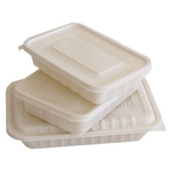 Bandeja 103 BIO Fécula de Maíz (13 x 19 x 4,8 cm) x 75 un