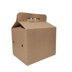 Caja Kraft Delivery Family Box con manija 24x19x20 (x 10)