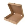 Caja Pizzeta / Mini Pizza (24 x 24) M/M Micro x 50 unid