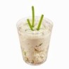Vaso MURANO Cristal 90 cc (5,4 x 6,4 cm) x 12 unidades