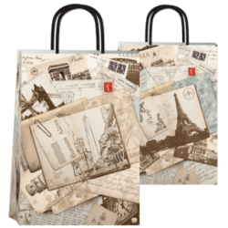 Bolsa Ciudades 22 x 10 x 30 con  manija