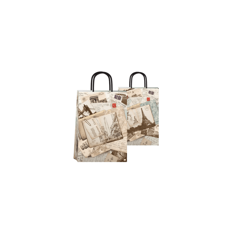 Bolsa Ciudades 22 x 10 x 30 con  manija