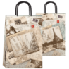 Bolsa Ciudades 22 x 10 x 30 con  manija