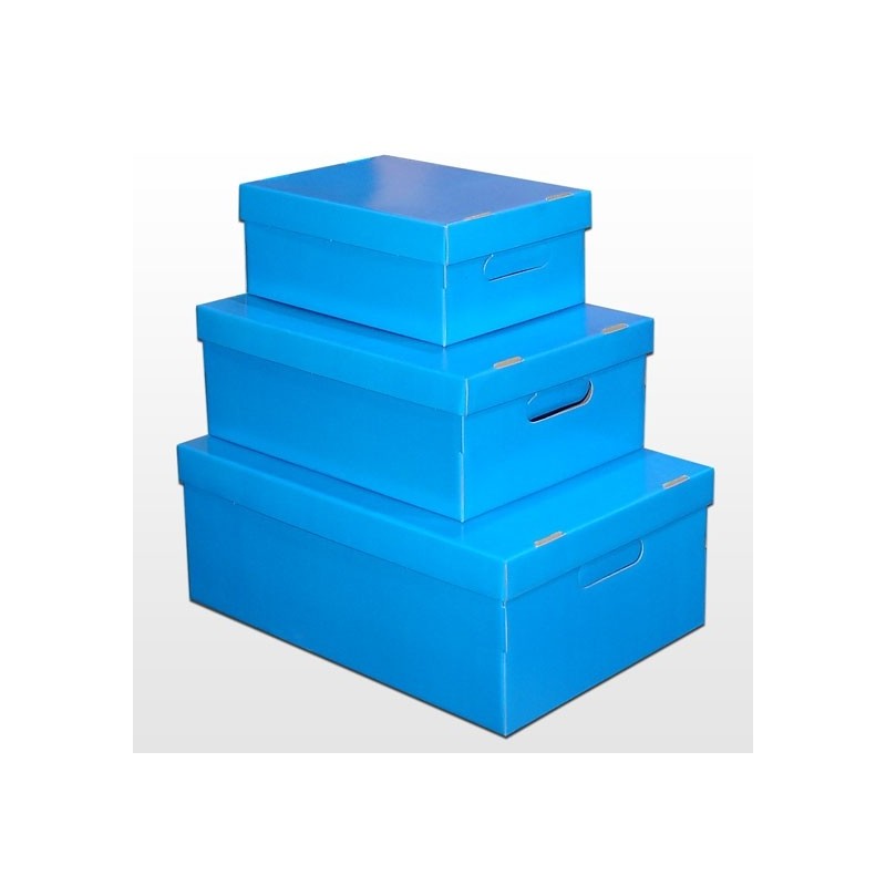 Caja Micro Barniz Celeste 31 x 22 x 13 cm