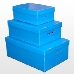 Caja Micro Barniz Celeste 39 x 30 x 15 cm