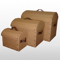 COFRE MORGAN con manijas cuero 59 x 38 x 49 cm